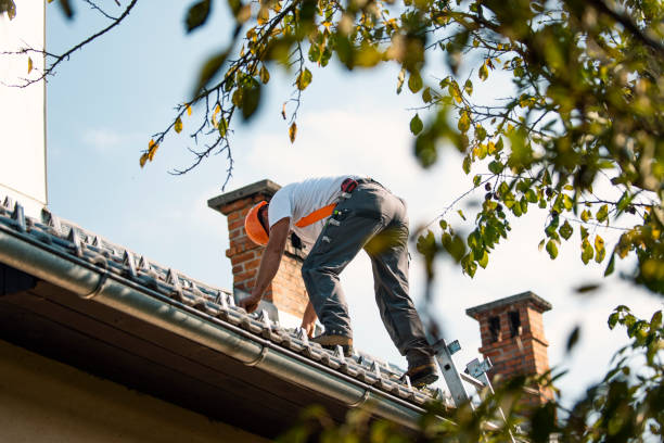 Best Steel Roofing  in Winchester, VA